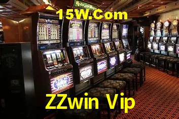 Security Systems ZZwin Vip